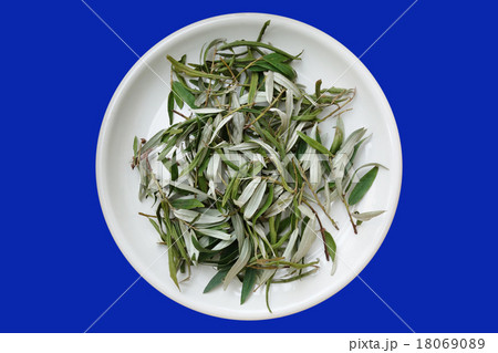 シーベリーの葉 お茶用 乾燥葉 シーベリーの葉 お茶用 乾燥葉 18069089