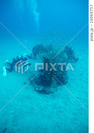 屋久島のダイビング 18069757