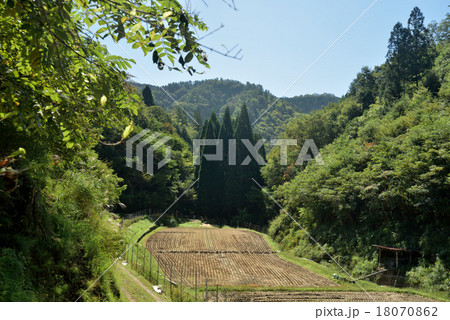 稲刈りの後の山田 18070862