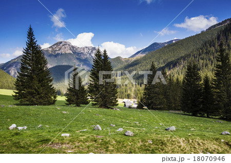 Chocholowska valley, Tatra Mountains, Poland Chocholowska valley, Tatra Mountains, Poland 18070946