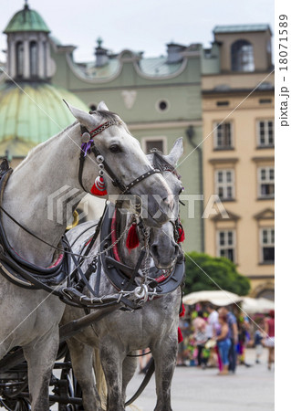Horses and carts on the market in Krakow, Poland. Horses and carts on the market in Krakow, Poland. 18071589