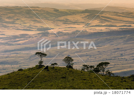 Track to Mount Roraima - Venezuela, South America Track to Mount Roraima - Venezuela, South America 18071774