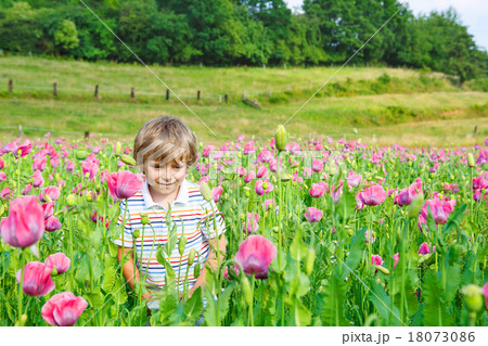 Cute happy little blond child in blooming poppy field Cute happy little blond child in blooming poppy field 18073086
