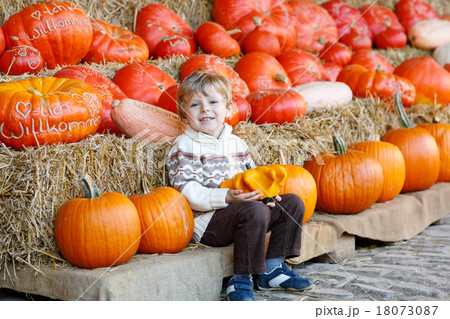 Little kid sitting with lots of pumpkins on patch farm 18073087