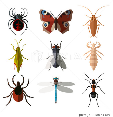 Set of insect flat icons1のイラスト素材 [18073389] - PIXTA