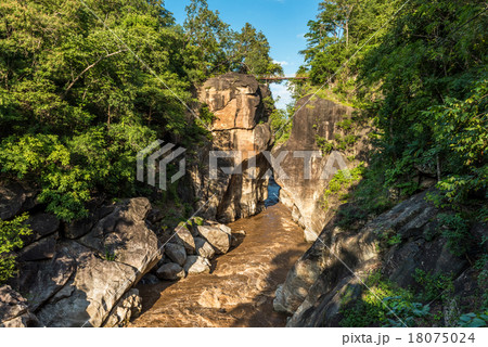 Mountain river in the forest 18075024