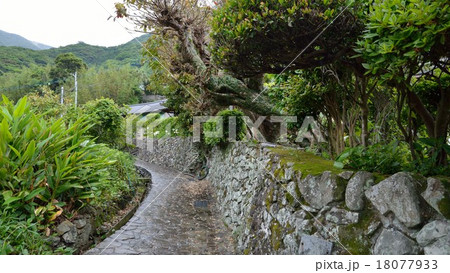 鹿児島県 大当(おおとう)石垣群の里 鹿児島県 大当(おおとう)石垣群の里 18077933