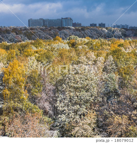first snow on trees and dark clouds over city 18079012