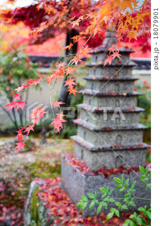 天龍寺塔頭・弘源寺、紅葉と多宝塔 18079901