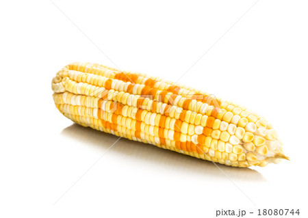 Concept of corn maize with GMO on corn seeds 18080744