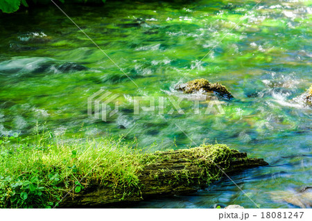 緑色に染まった渓流　（弟子屈町） 18081247
