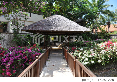 バリ島 リゾート バリ島 リゾート 18081270