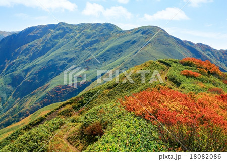 紅葉の上越国境・蓬峠の稜線 18082086