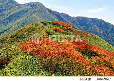 紅葉の上越国境稜線を行く登山者 18082087