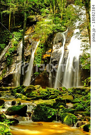 京都・丹後半島）金引の滝（宮津市）１ 18082384