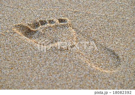 京都・丹後半島）琴引浜の砂浜足跡（京丹後市） 18082392