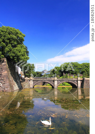 7月東京 江戸城正門石橋と伏見櫓 18082651