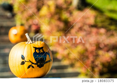 Halloween pumpkin  18083375