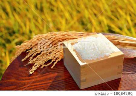 農業、稲穂（イネ・お米・農作物）イメージ。 18084590