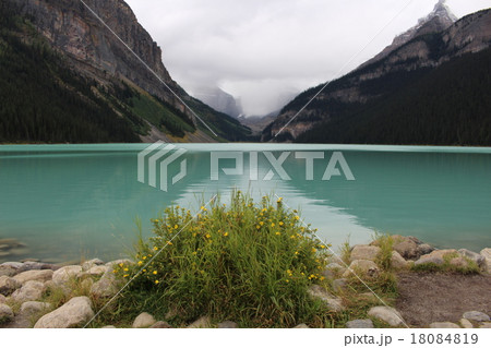 カナディアンロッキー　レイクルイーズの眺望 18084819