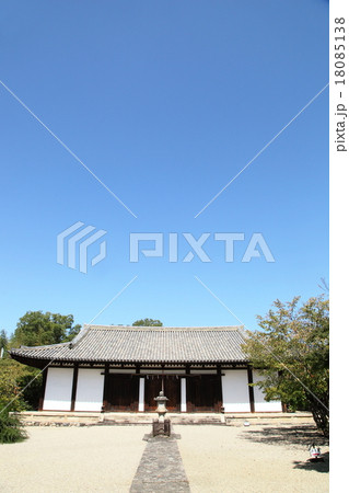 新薬師寺本堂と青空 18085138