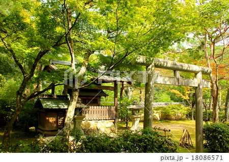 京都　あだし野念仏寺　境内 18086571