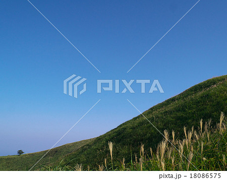大室山 18086575