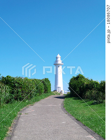 伊豆下田の爪木崎灯台 伊豆下田の爪木崎灯台 18086707