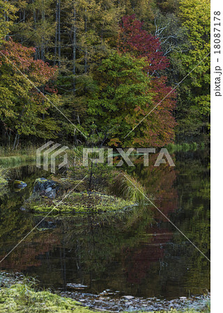 御射鹿池の紅葉 18087178