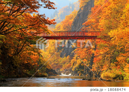 定山渓　 18088474