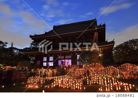總持寺ライトアップイベント 總持寺ライトアップイベント 18088481