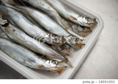 カラフトししゃも. 18091002