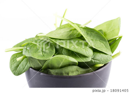 Green spinach on a white background Green spinach on a white background 18091405