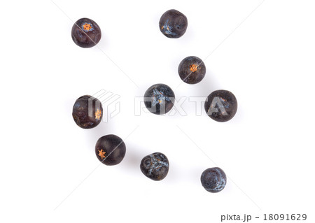 Dried black currant 18091629