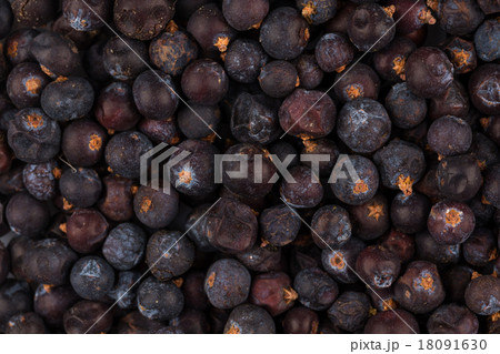 Dried black currant 18091630