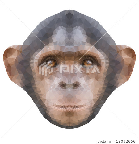 Head of a monkey in triangle style. 18092656