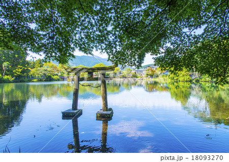 湯布院 金鱗湖 湯布院 金鱗湖 18093270