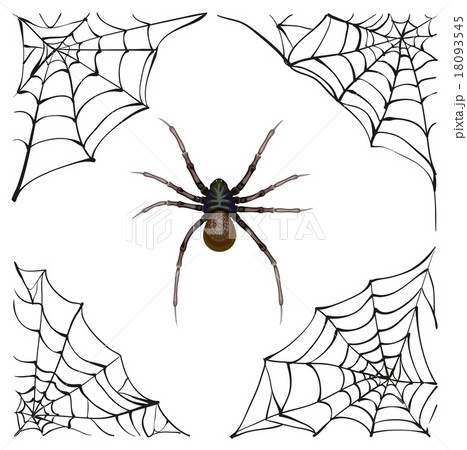 Spiderweb. Big spider web. Scary spider of web 18093545