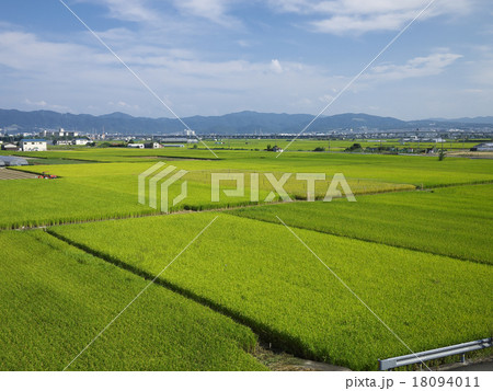 田園風景 18094011