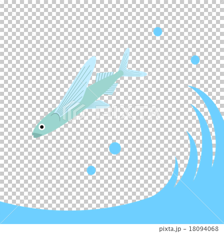 Flying fish Flying fish 18094068