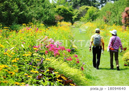 紫竹ガーデン散策 18094640