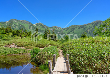 夏山の風景 18095193