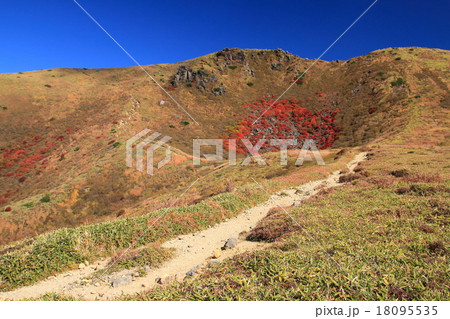 秋の星生山Ⅲ 18095535