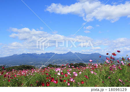 榛名山（高崎市鼻高展望花の丘より） 18096129