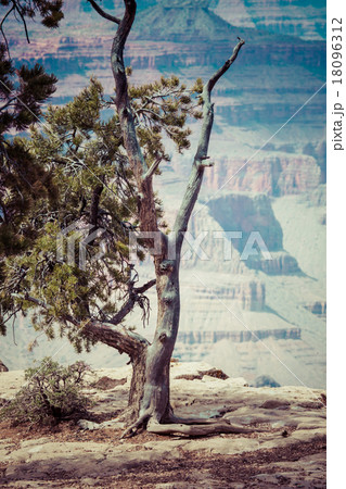 Grand Canyon National Park, Arizona 18096312