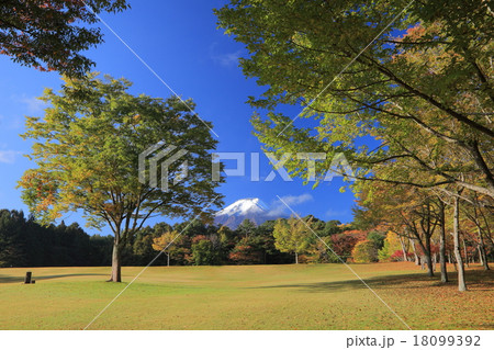 富士パインズパーク紅葉 富士パインズパーク紅葉 18099392