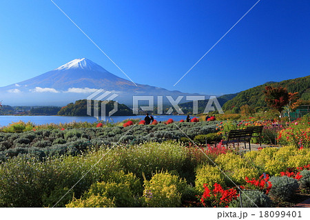 大石公園の富士山 18099401