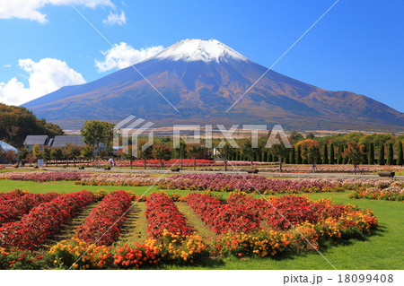 花の都公園と富士 18099408
