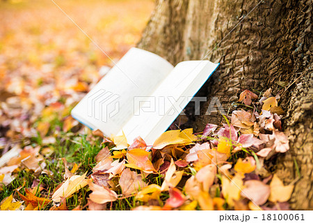 読書の秋 18100061