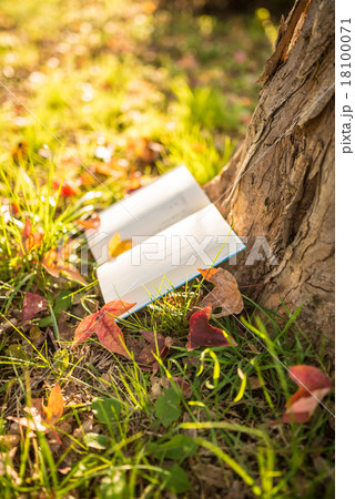 読書の秋 18100071